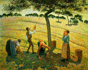cueillette de pommes à eragny sur epte 1888 Camille Pissarro Peinture à l'huile